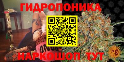 а пвп мука Гай