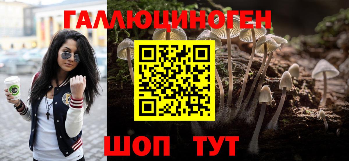 Галлюциногенные грибы GOLDEN TEACHER Морозовск